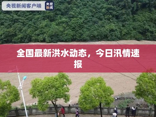 全国最新洪水动态，今日汛情速报