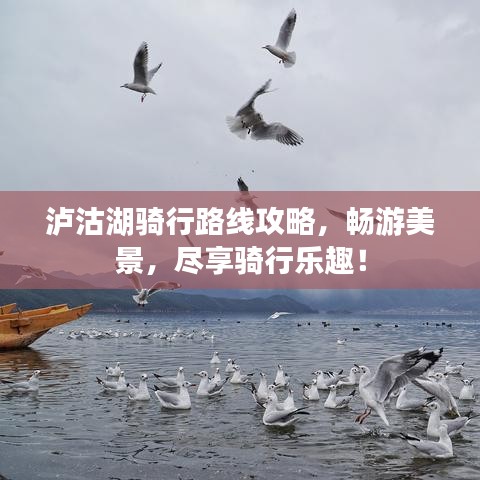 早生贵子 第2页
