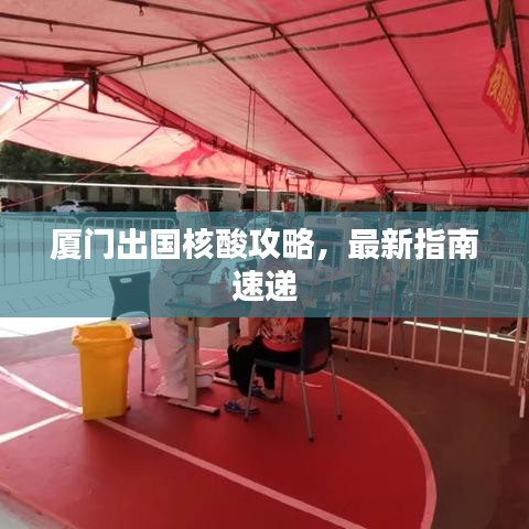 厦门出国核酸攻略，最新指南速递