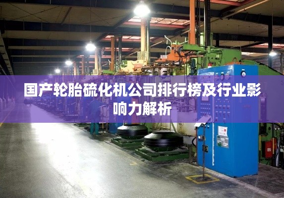 国产轮胎硫化机公司排行榜及行业影响力解析