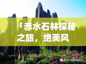 「赤水石林探秘之旅，绝美风光与神秘文化的完美结合」