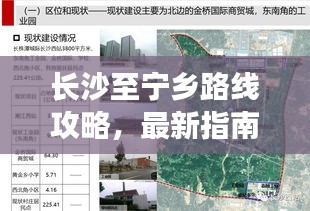 乌鸟之情 第3页
