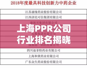 上海PPR公司行业排名揭晓，权威榜单不容错过