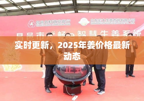 实时更新，2025年姜价格最新动态