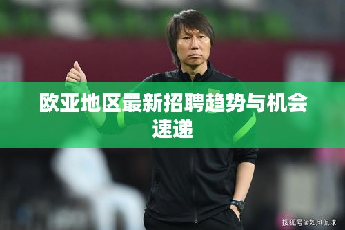 欧亚地区最新招聘趋势与机会速递