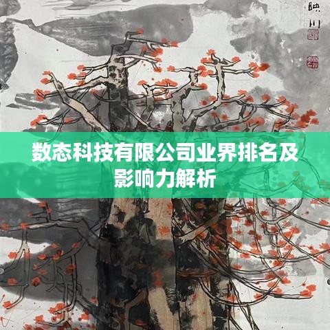 数态科技有限公司业界排名及影响力解析