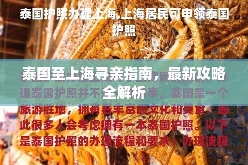 泰国至上海寻亲指南，最新攻略全解析