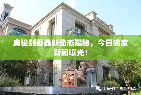 唐骏别墅最新动态揭秘，今日独家新闻曝光！