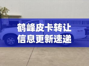 鹤峰皮卡转让信息更新速递