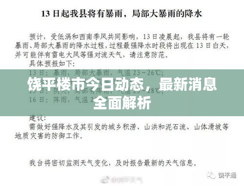 饶平楼市今日动态，最新消息全面解析