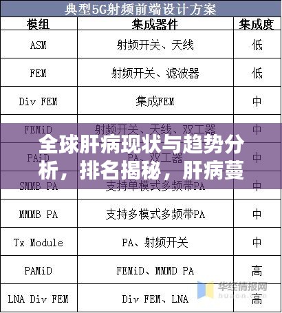 全球肝病现状与趋势分析，排名揭秘，肝病蔓延不容忽视！