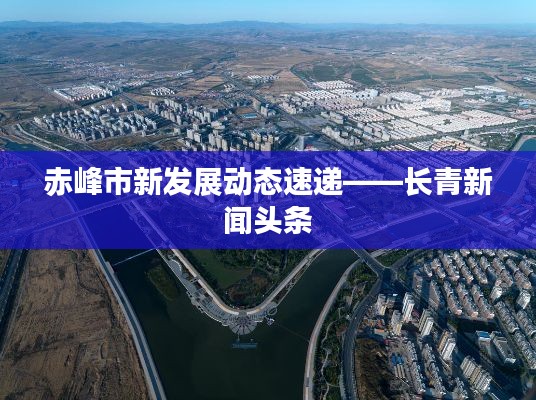 为民请命 第3页