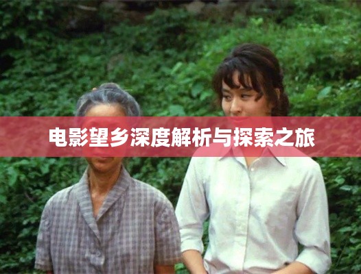 电影望乡深度解析与探索之旅