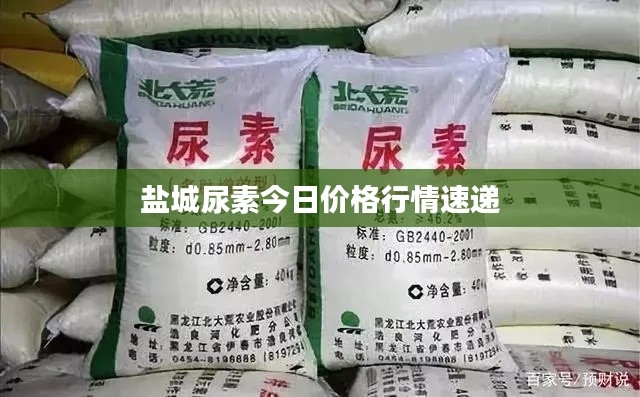 盐城尿素今日价格行情速递