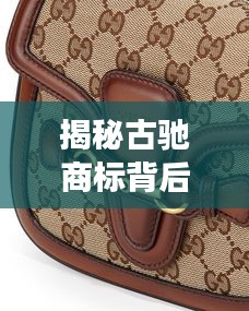 揭秘古驰商标背后的时尚品牌故事，让你了解时尚传奇之旅！