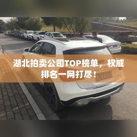 湖北拍卖公司TOP榜单，权威排名一网打尽！