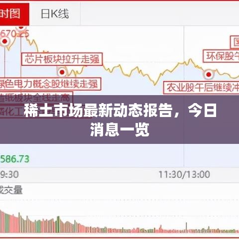 稀土市场最新动态报告，今日消息一览