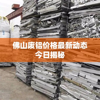 佛山废铝价格最新动态今日揭秘