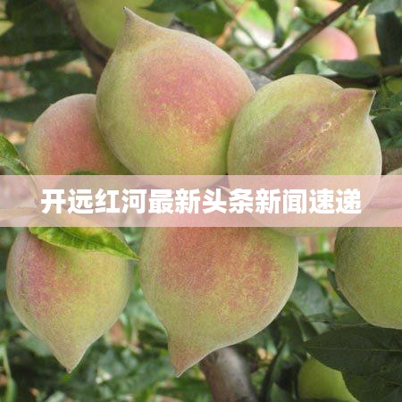 开远红河最新头条新闻速递