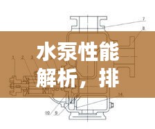 水泵性能解析，排名前十的水泵型号及其特点概览
