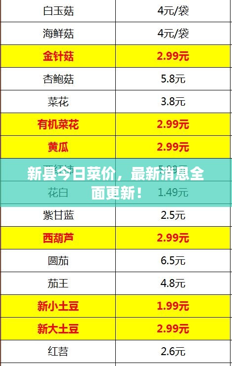 新县今日菜价，最新消息全面更新！