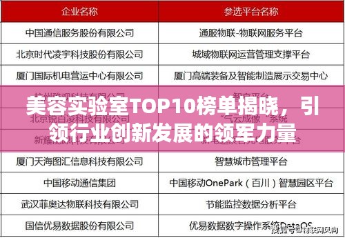 美容实验室TOP10榜单揭晓，引领行业创新发展的领军力量