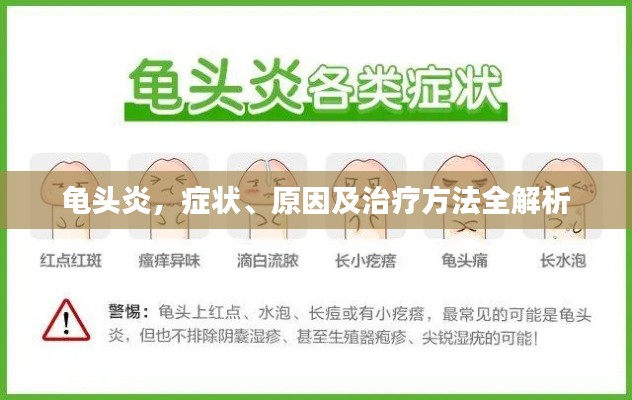 生张熟魏 第2页