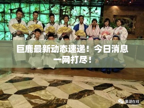 巨鹿最新动态速递！今日消息一网打尽！