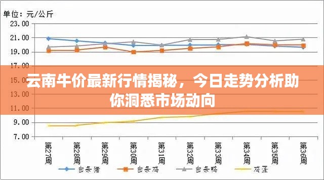 云南牛价最新行情揭秘，今日走势分析助你洞悉市场动向