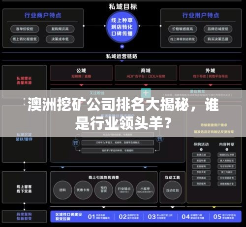 澳洲挖矿公司排名大揭秘，谁是行业领头羊？