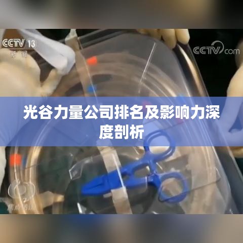 光谷力量公司排名及影响力深度剖析