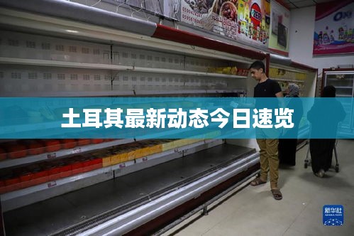 土耳其最新动态今日速览