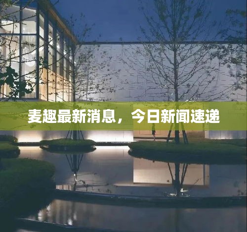 麦趣最新消息，今日新闻速递