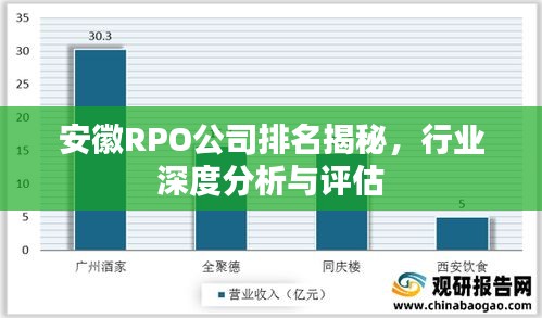 安徽RPO公司排名揭秘，行业深度分析与评估