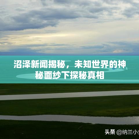 沼泽新闻揭秘，未知世界的神秘面纱下探秘真相