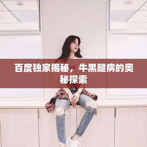 贵极人臣 第3页