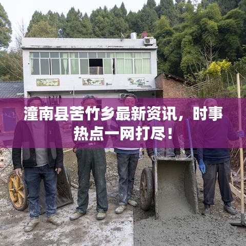 潼南县苦竹乡最新资讯，时事热点一网打尽！