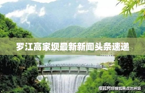 罗江高家坝最新新闻头条速递