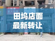 田坞店面最新转让信息概览