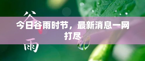 今日谷雨时节，最新消息一网打尽
