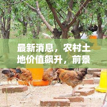 最新消息，农村土地价值飙升，前景广阔！