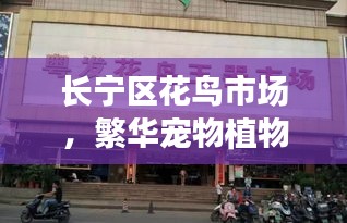 雅人清致 第4页