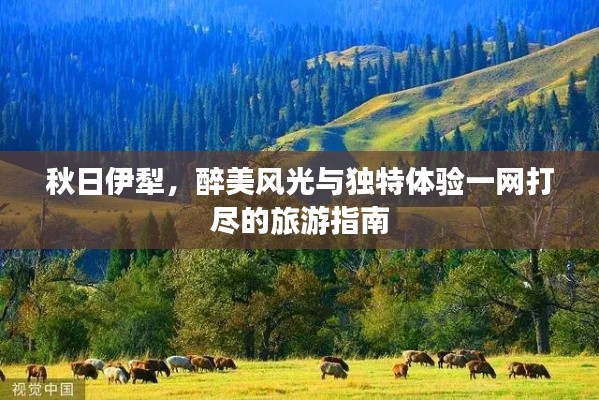 秋日伊犁，醉美风光与独特体验一网打尽的旅游指南