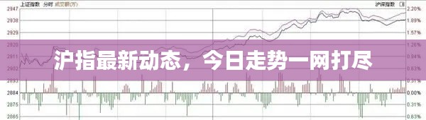 沪指最新动态，今日走势一网打尽