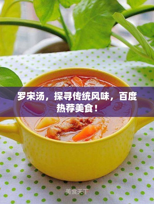 罗宋汤，探寻传统风味，百度热荐美食！