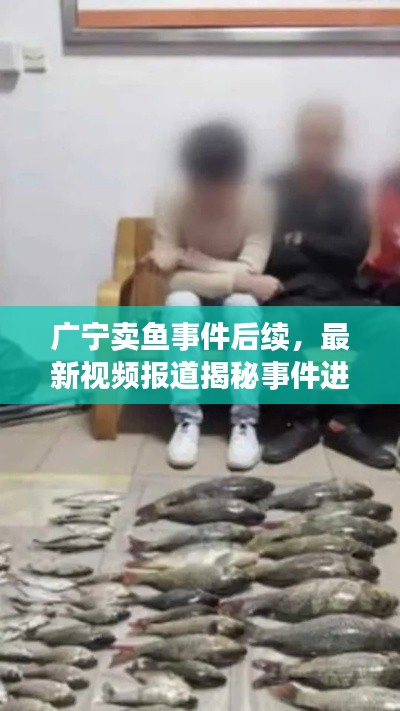 广宁卖鱼事件后续，最新视频报道揭秘事件进展