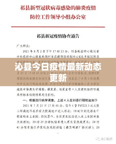 沁县今日疫情最新动态更新