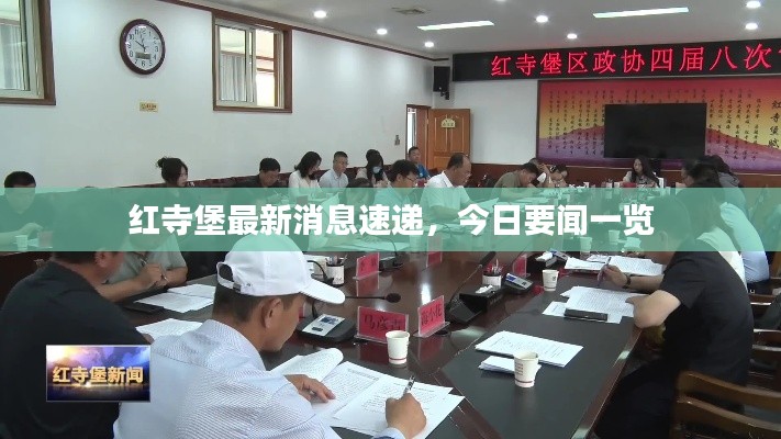 红寺堡最新消息速递，今日要闻一览