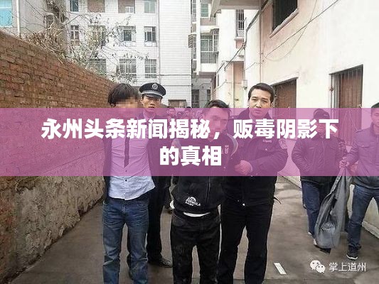 永州头条新闻揭秘，贩毒阴影下的真相