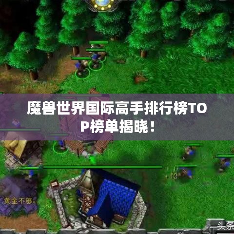魔兽世界国际高手排行榜TOP榜单揭晓！
